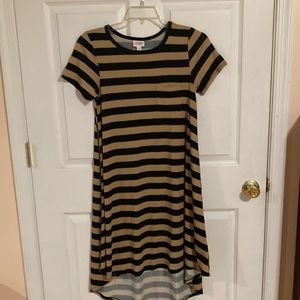 Striped LulaRoe Carly Dress